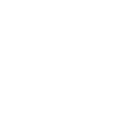 da icon damage